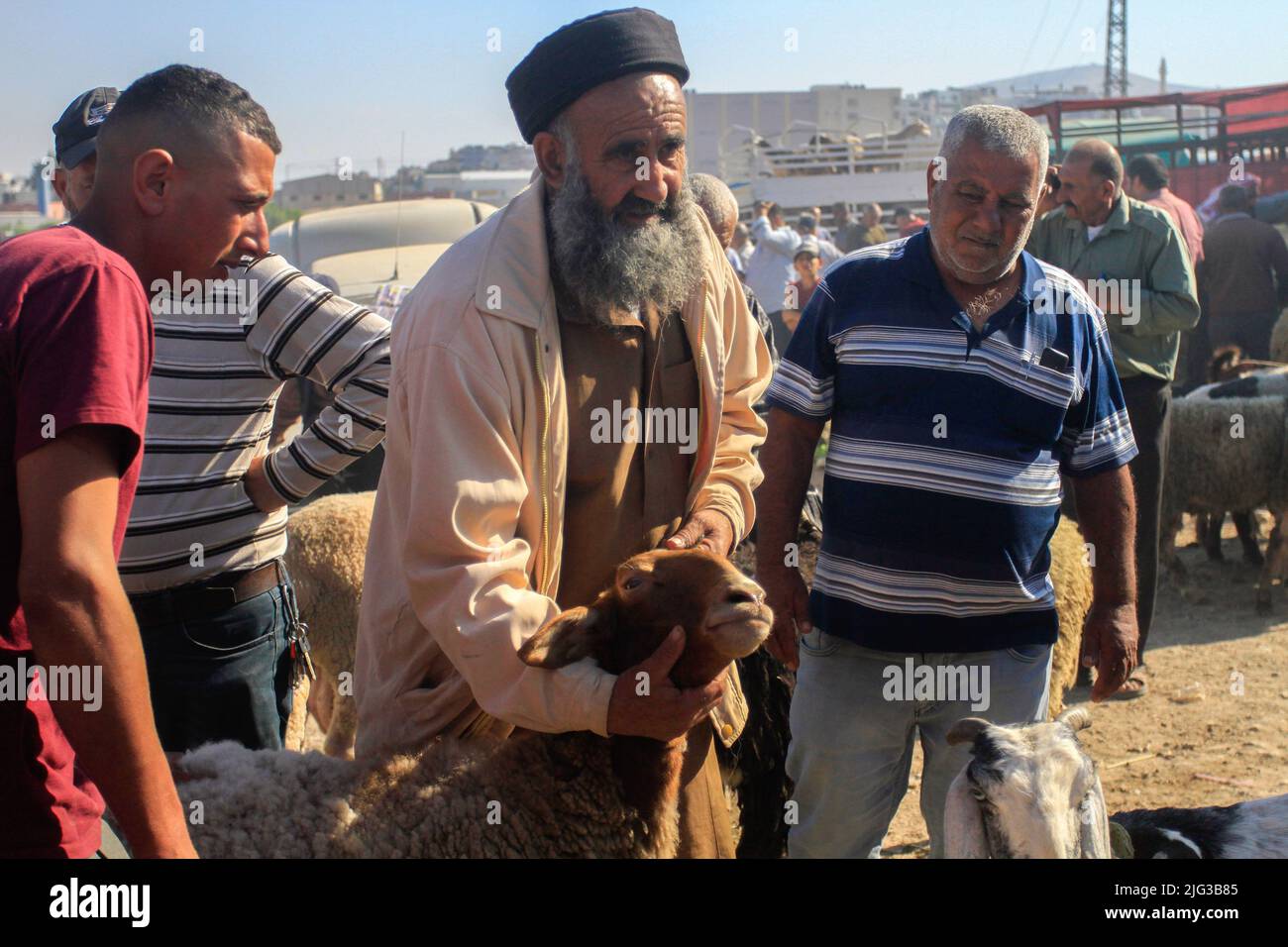 Nablus, Palestine. 22nd June, 2022. A Palestinian purchases a goat from a cattle market in preparation for Eid al-Adha in Nablus. Eid al-Adha or the Great Eid is one of the important holidays for Muslims and is associated with the slaughter of sheep and livestock. Credit: SOPA Images Limited/Alamy Live News Stock Photo