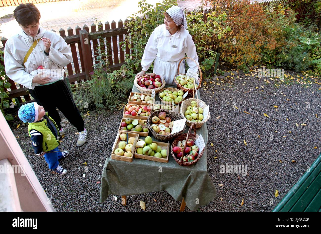 Harvest in the form of different apple varieties in the autumn in Old town Linköping, Sweden Stock Photo