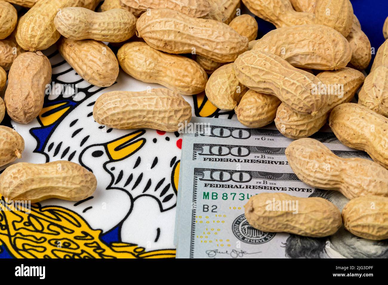 Peanuts in shell on flag of Louisiana with 100 dollar bills. Peanut farming, trade, tariffs and market price concept. Stock Photo