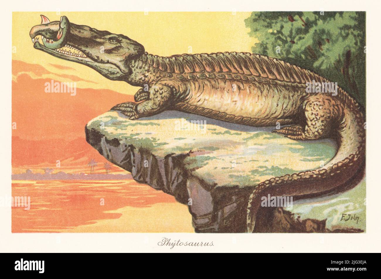 Reconstruction of a phytosaur, Nicrosaurus kapffi, of the Late Triassic. Krokodil, Belodon kapffii. It holds a a Ceratodus lungfish in its jaws. Phytosaurus. Colour printed illustration by F. John from Wilhelm Bolsche’s Tiere der Urwelt (Animals of the Prehistoric World), Reichardt Cocoa company, Hamburg, 1908. Stock Photo