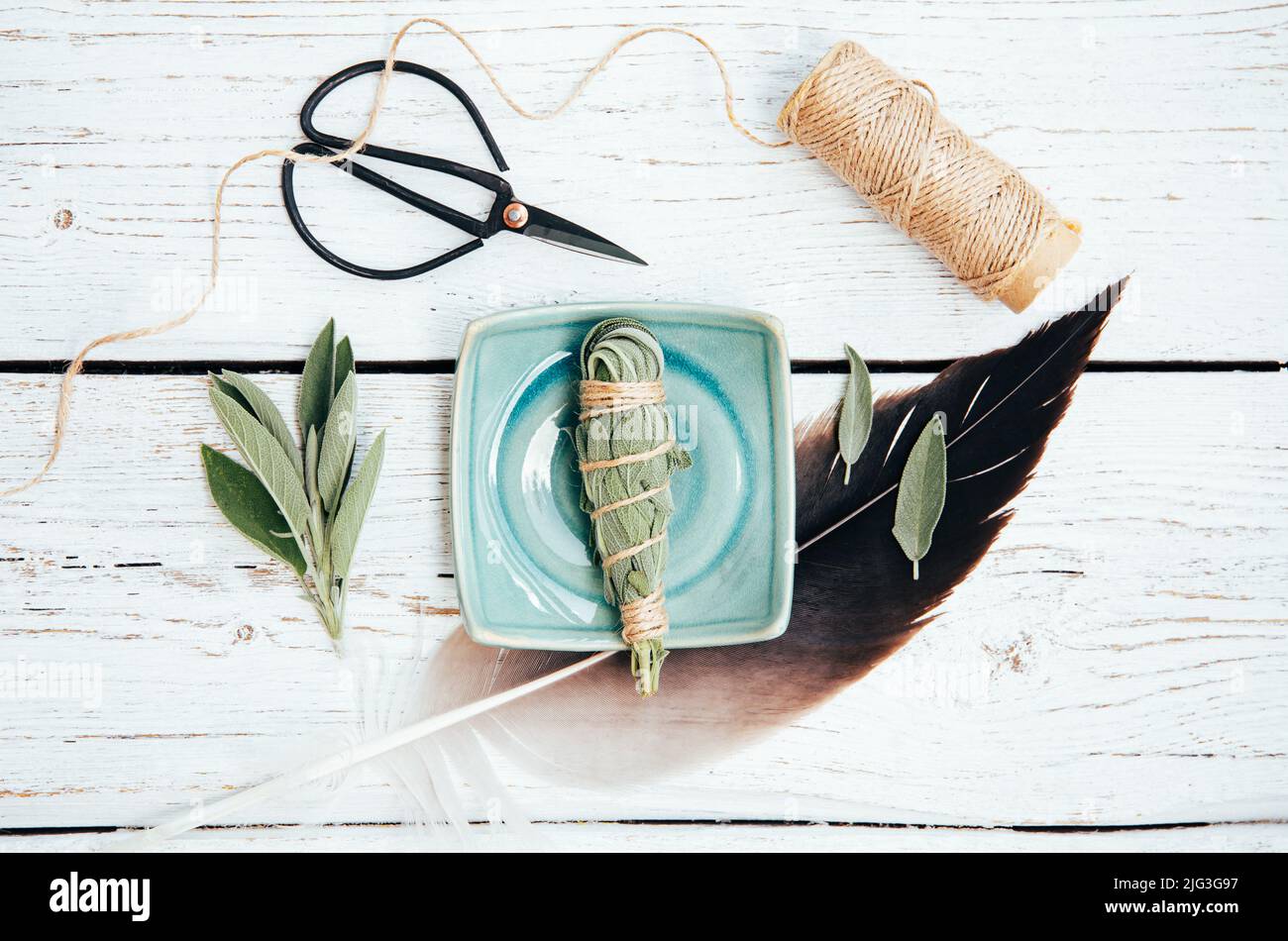 White homemade sage Salvia apiana smudge stick at home with homegrown sage leaves. Cotton string, vintage scissors on white wood background. Flat lay Stock Photo
