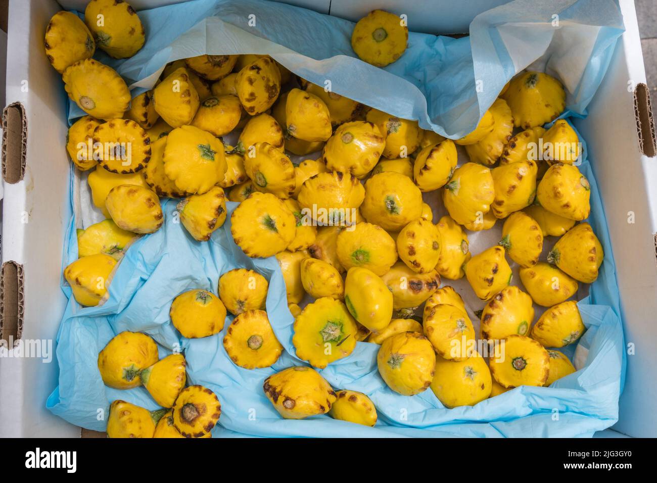 Boston, MA, US-June 11, 2022: Close-up of yellow squash at Haymarket - the iconic produce market in the downtown area. Stock Photo
