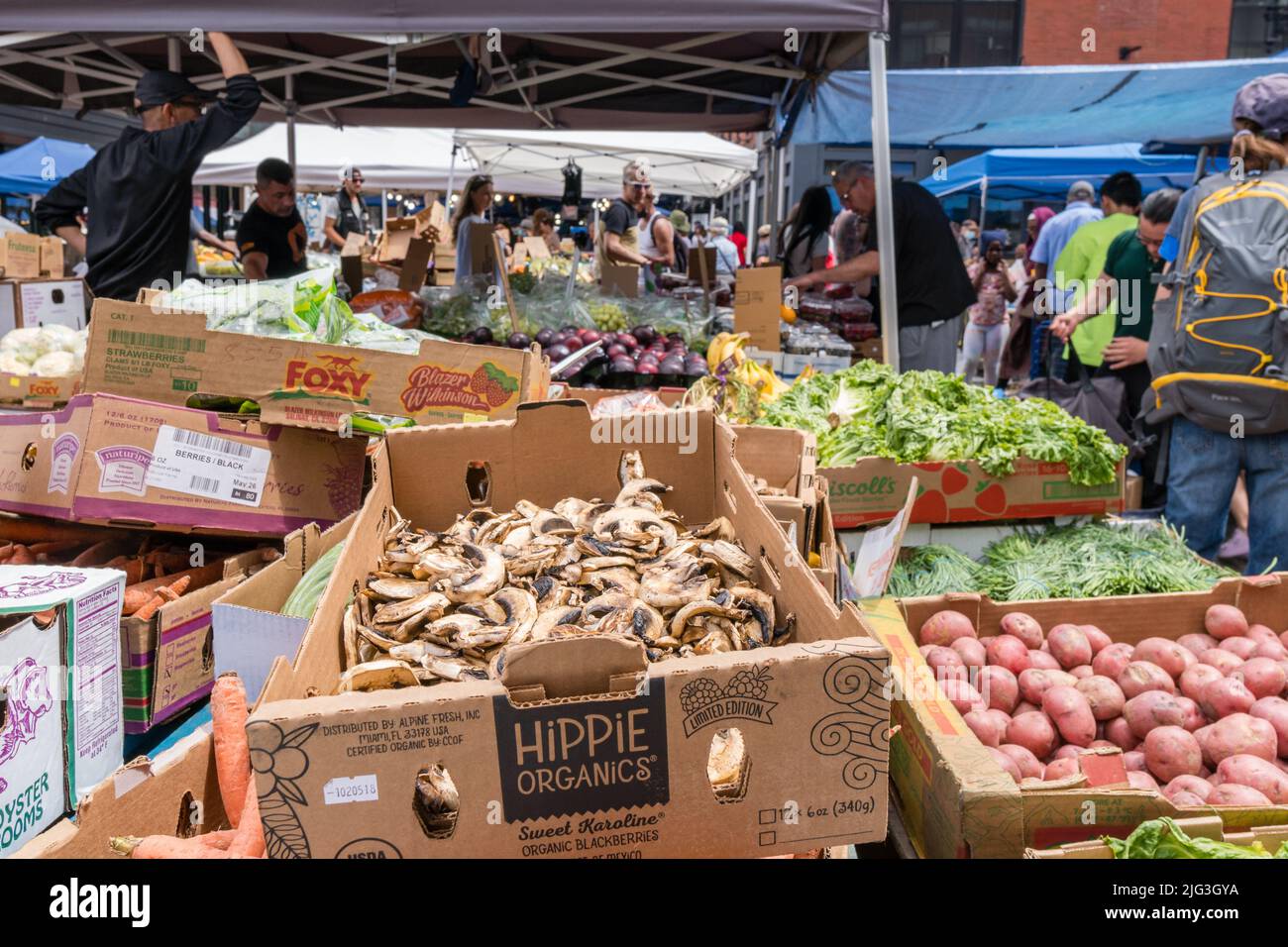Boston, MA, US-June 11, 2022: Close-up of vegetables including mushrooms at Haymarket - the iconic produce market in the downtown area. Stock Photo
