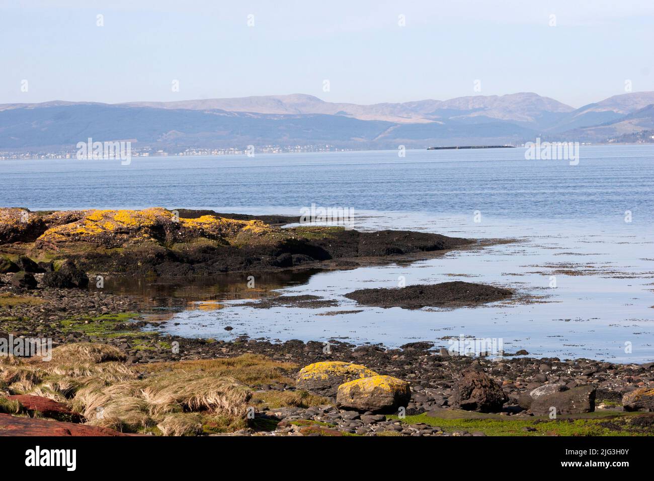 Ardmore Point, a geological fault on the River Clyde, at Arfmore Nature reserve, nr Helensburgh, Scotland. Stock Photo