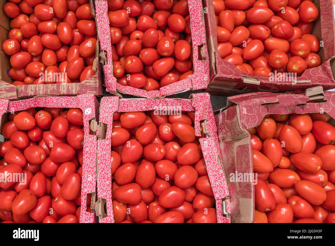 Boston, MA, US-June 11, 2022: Close-up of tomatoes at Haymarket - the iconic produce market in the downtown area. Stock Photo