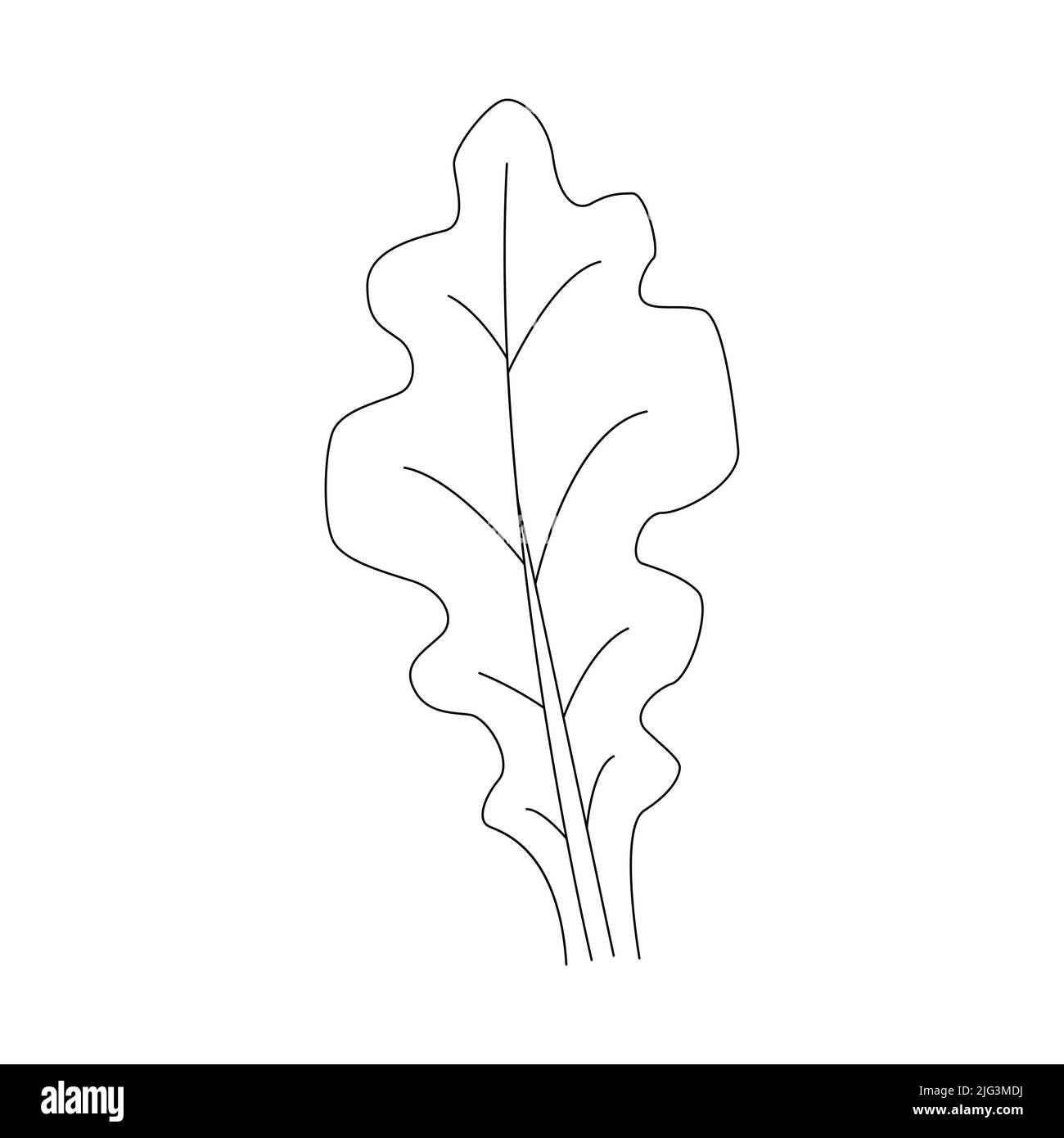 Oak leaf linear icon. Thin line illustration. Contour Vector outline drawing. Stock Vector