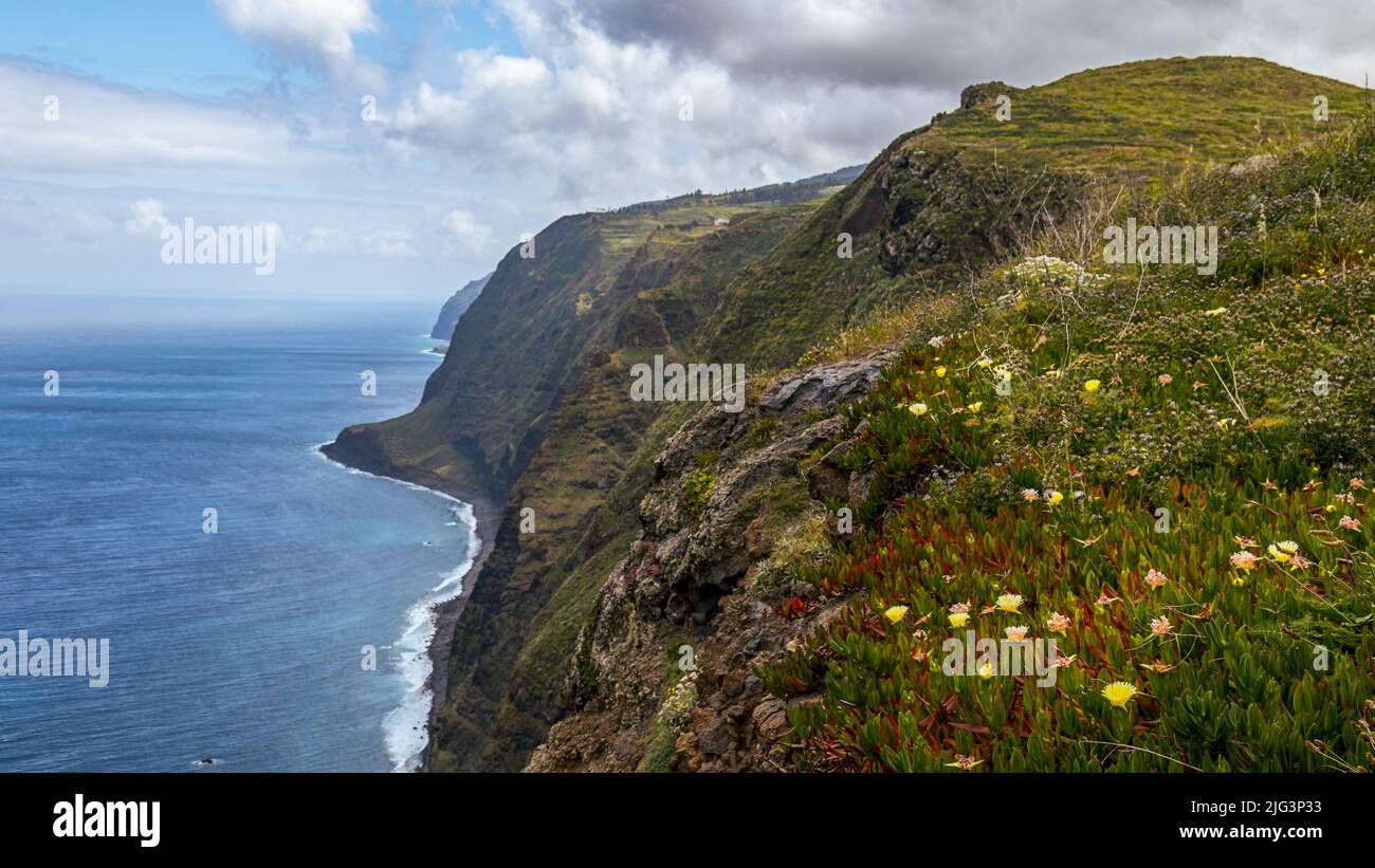 blooming rocky coast on Madeira Stock Photo
