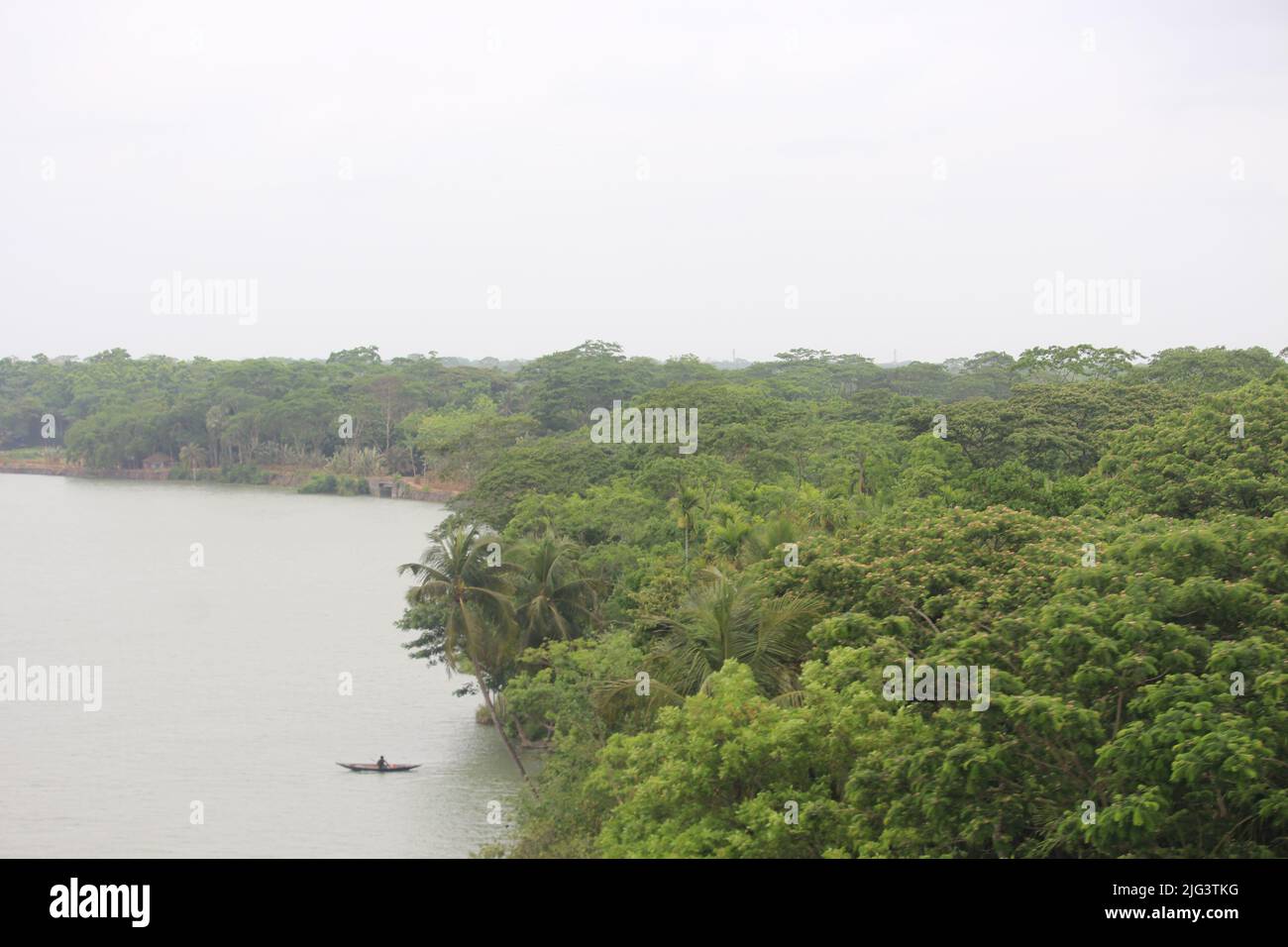 Dense vegetation on the banks of the river. Stock Photo