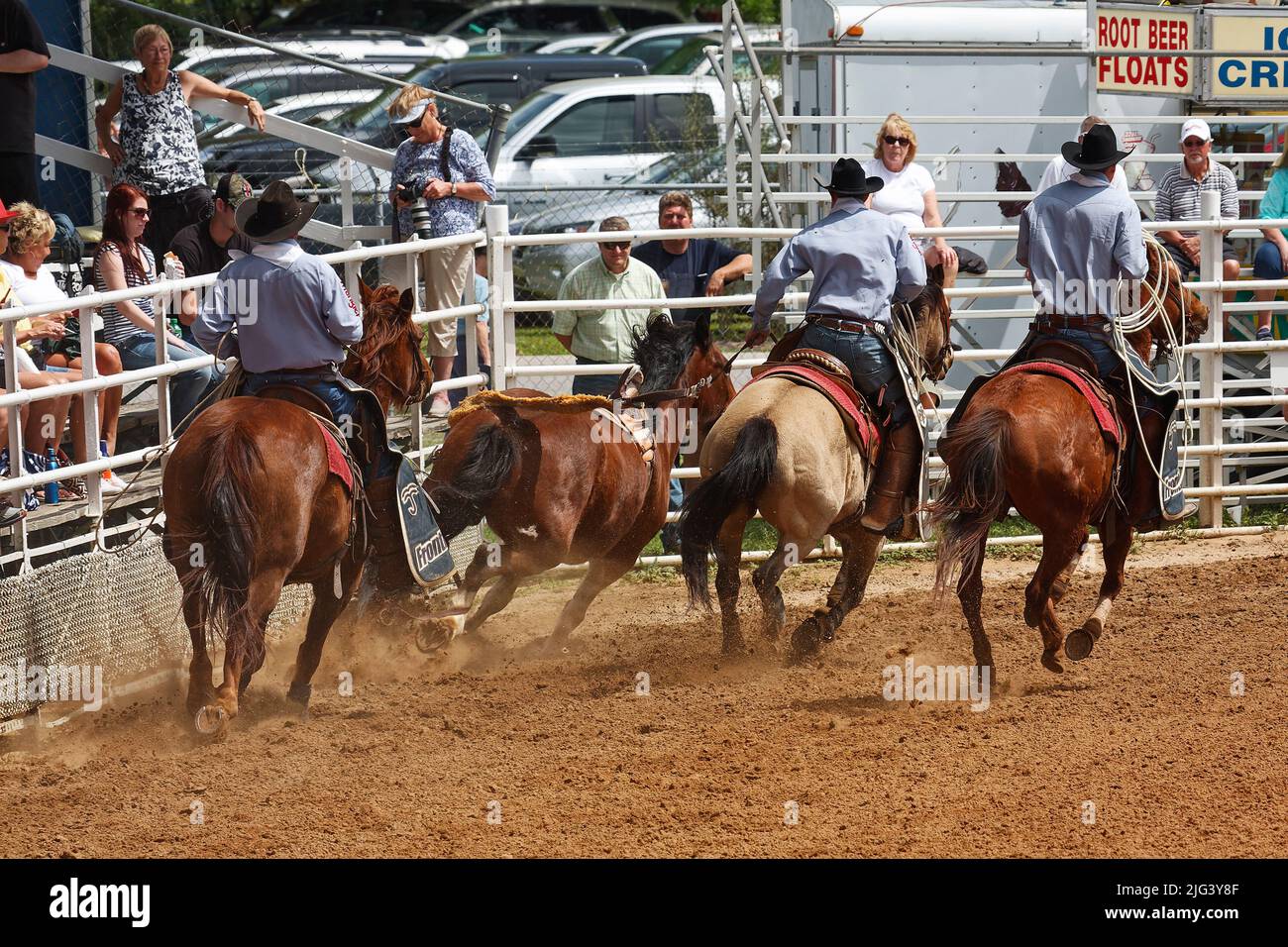 rodeo, men corralling horse, job, skill, motion, spectators, contest