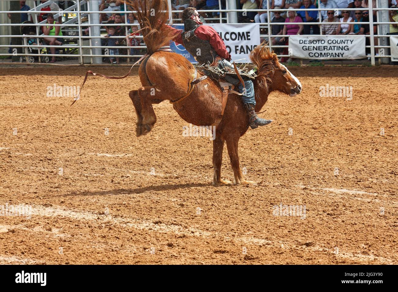 rodeo, man riding bucking horse, skill, motion, sport, spectators