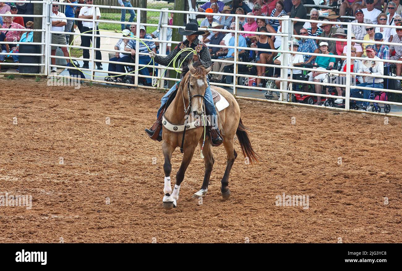 rodeo, man riding horse, swinging lasso, skill, motion, sport