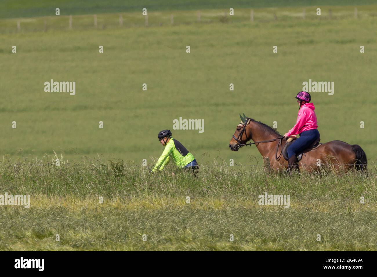 Horse riding cycling outdoor activity sport exercise and pastime a horse and rider joins a cyclist on the access pathways to south downs way uk Stock Photo