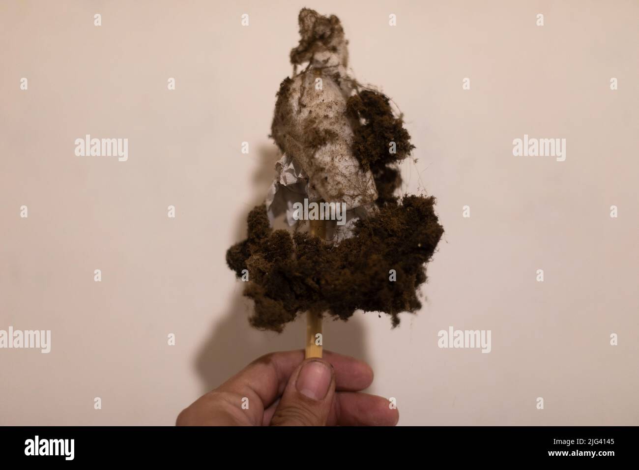 Dirt on stick. Dust on napkin. House cleaning. Dirt collected from ventilation. Hand holds stick with piece of paper. Stock Photo