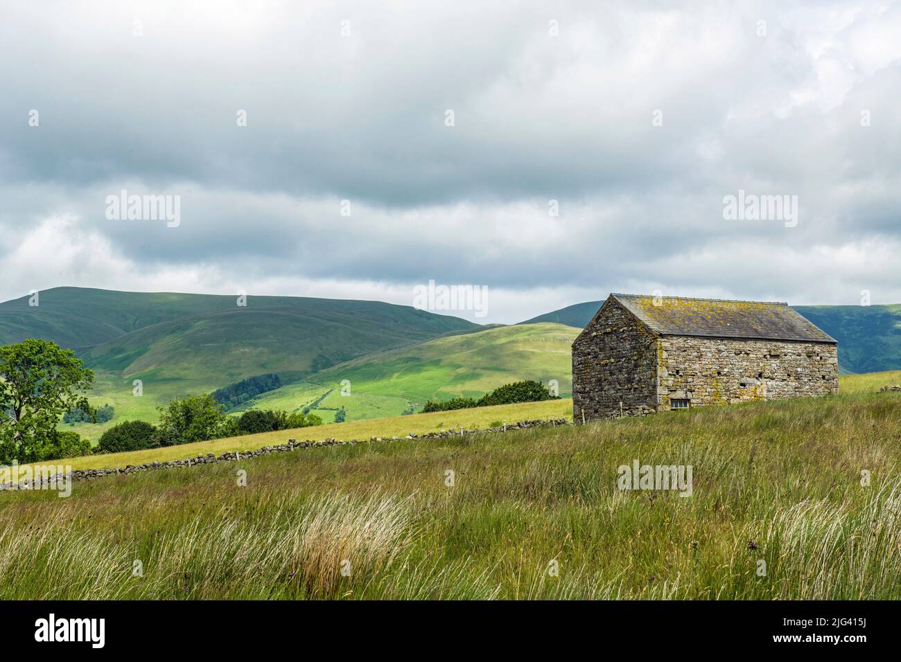 Dales landscape of stone barn with Howgill Fells behind early in July