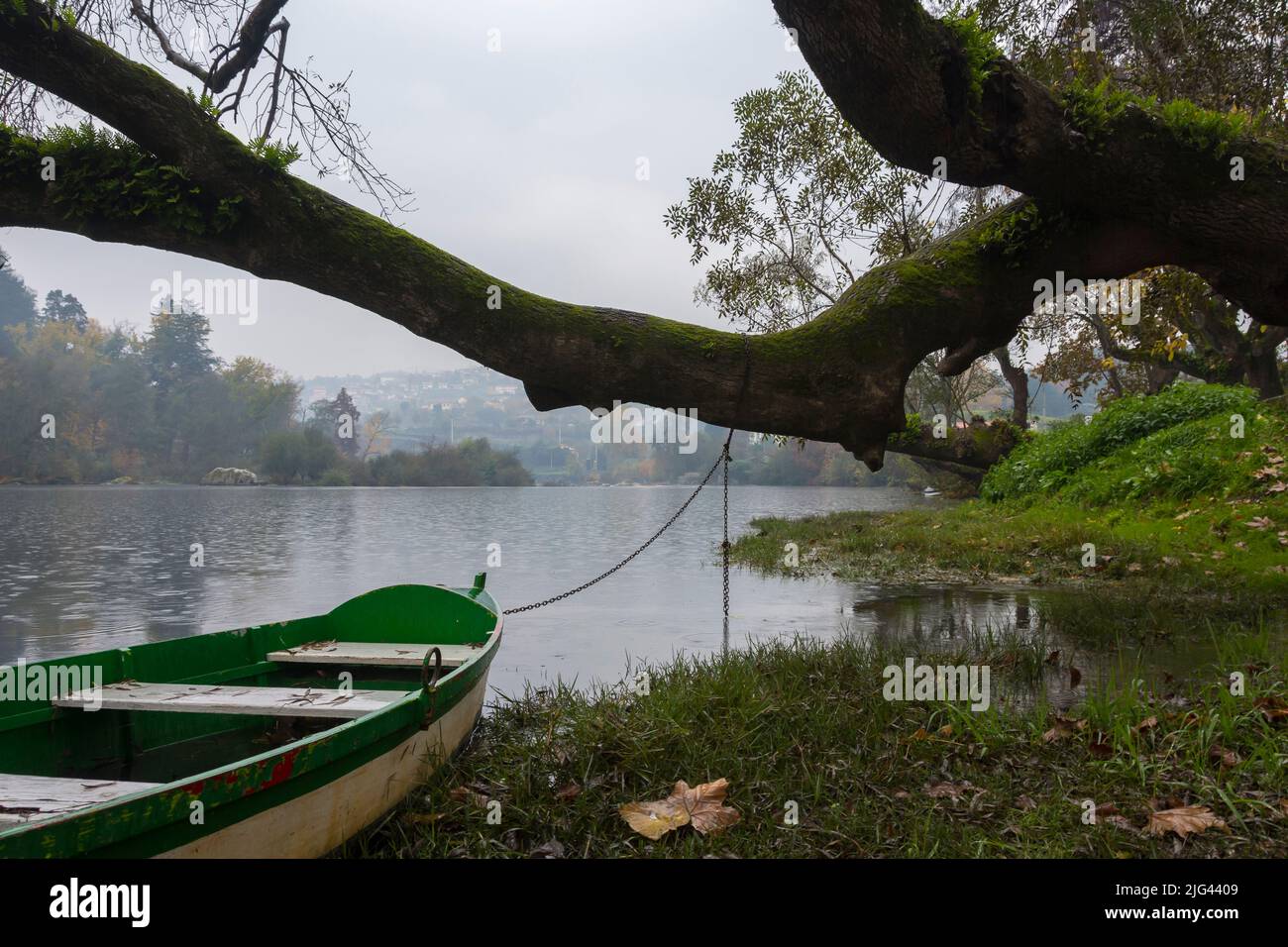 Green rowing boat in the Tamega river  tied to a tree in misty,rainy weather. Amarante, Portugal. Stock Photo