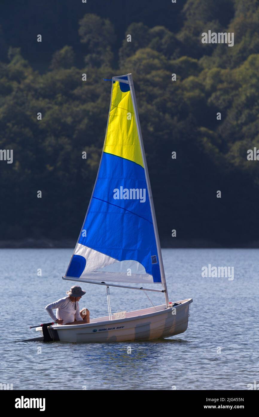 Laouzas Lake. Sailing, water sports. Rieu Montagne leisure base. Nages, Occitanie, France Stock Photo