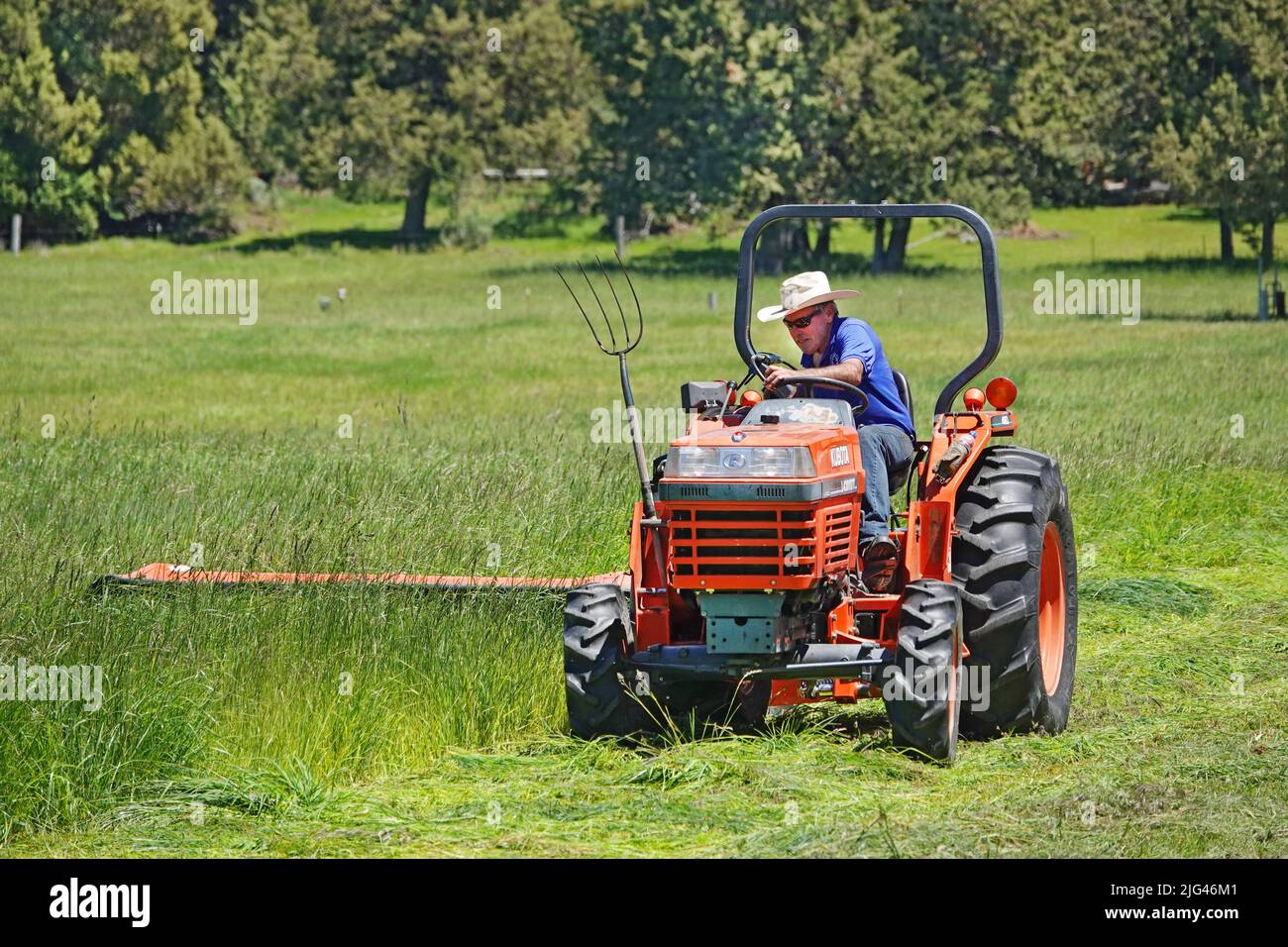 Farmer in a field of grass hay with his tractor, Bend, Oregon Stock Photo