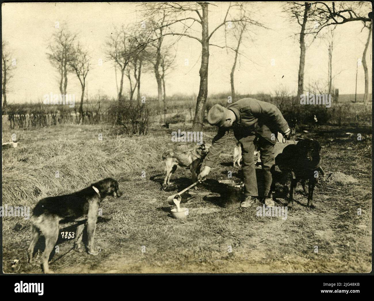 In a dog elace behind the positions where reporting dogs coming from ...