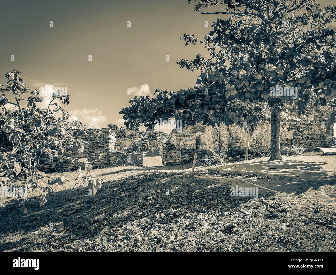 Old black and white picture of Ancient Tulum ruins Mayan site with