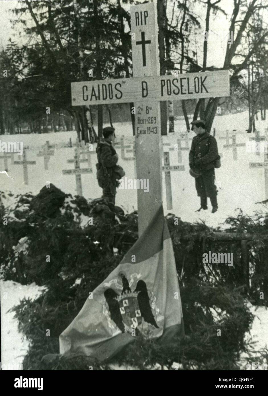 Slukz cemetery. Leningrad Spanish Cemetery Front, possibly from Sluzk. Partial view, with a commemorative cross of the fallen in the fighting of Posselok (Battle of the Lagoaga). Cruz with the national flag in force at the time, at half -mast, and registration: poselok / 2nd bon / rgt. 269 / Stock Photo