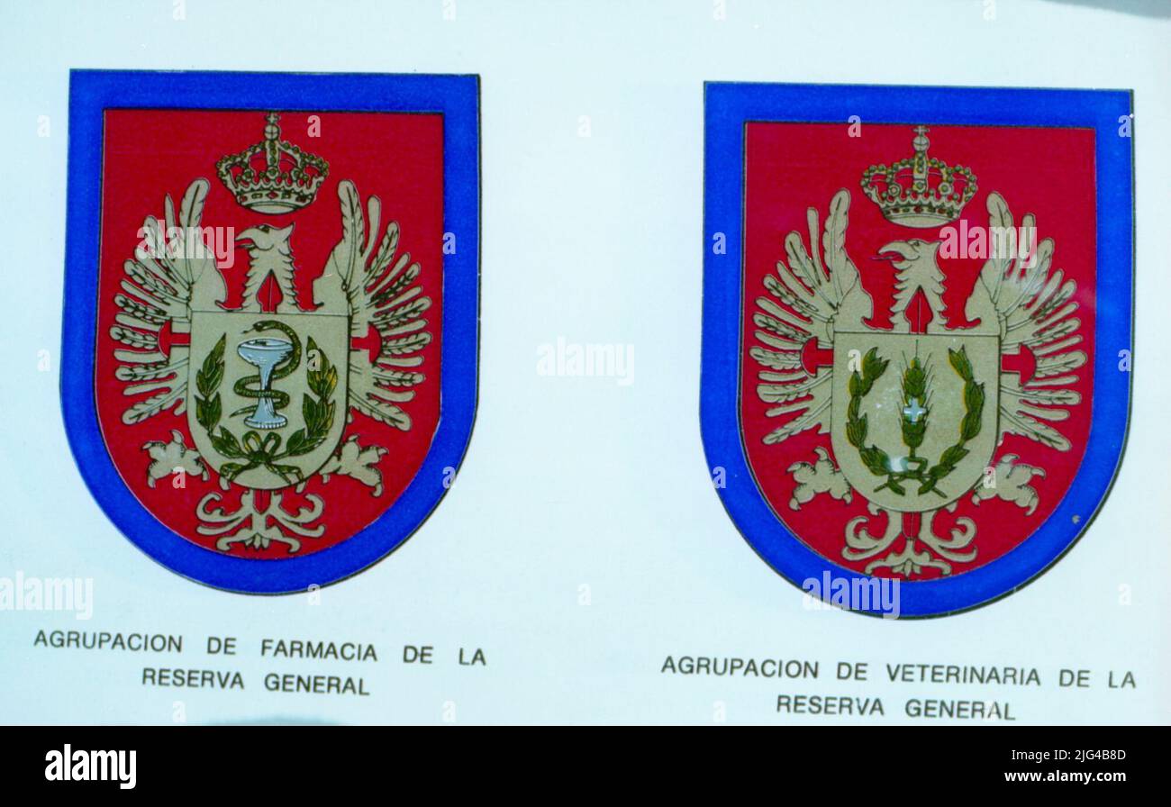 Arm distinctive for the pharmacy and veterinary groupings of the General Reserve. O. of December 3, 1981 (C.L. n. 167) See also 312-01, 312-02, 312-03, 312-04, 312-05, 312-06, 312-07, 312-08, 312- 09, 312-10, 312-L1, 312-L3, 312-L4, 312-L5 Stock Photo