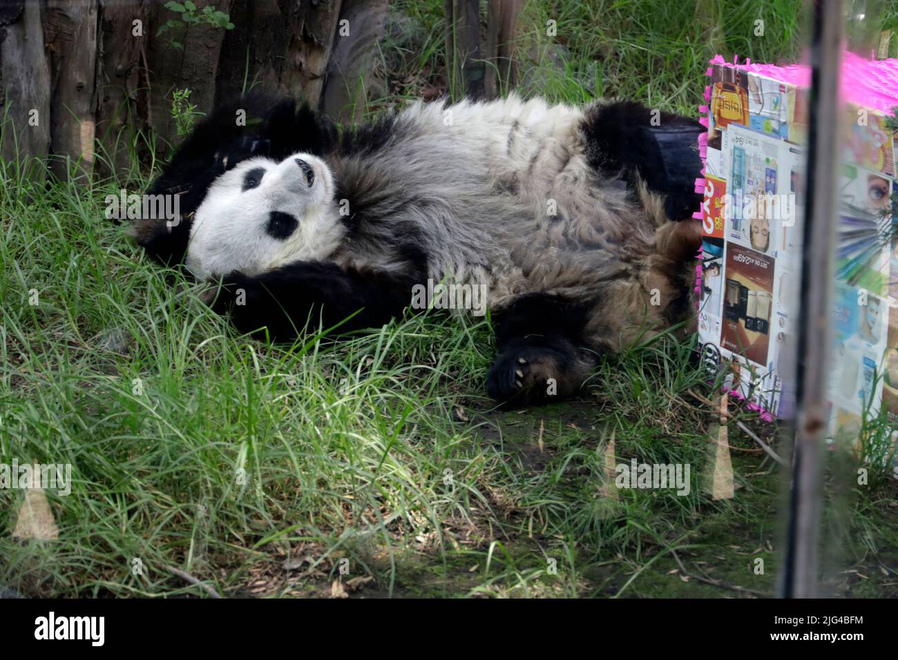 Mexico City, Mexico City, Mexico. 6th July, 2022. July 7, 2022, Mexico