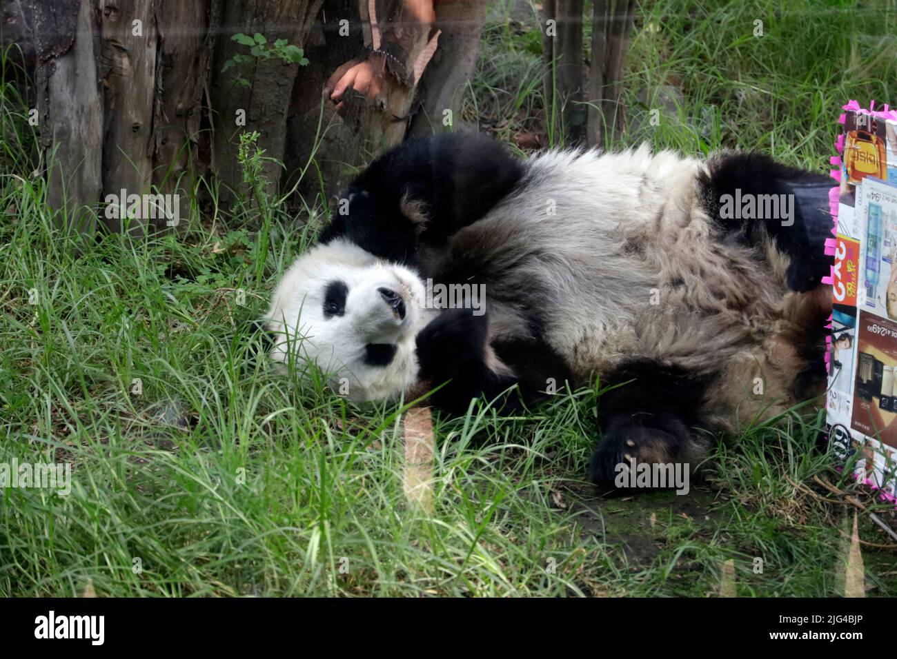 Mexico City, Mexico City, Mexico. 6th July, 2022. July 7, 2022, Mexico(01)