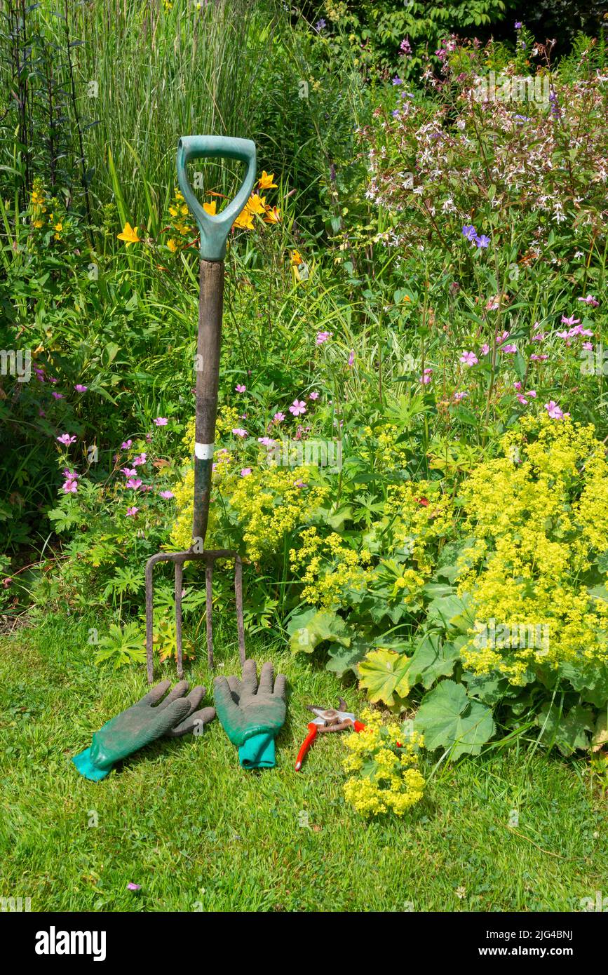 English country garden in early July. A selection of well used tools beside the borders full of various plants. Stock Photo