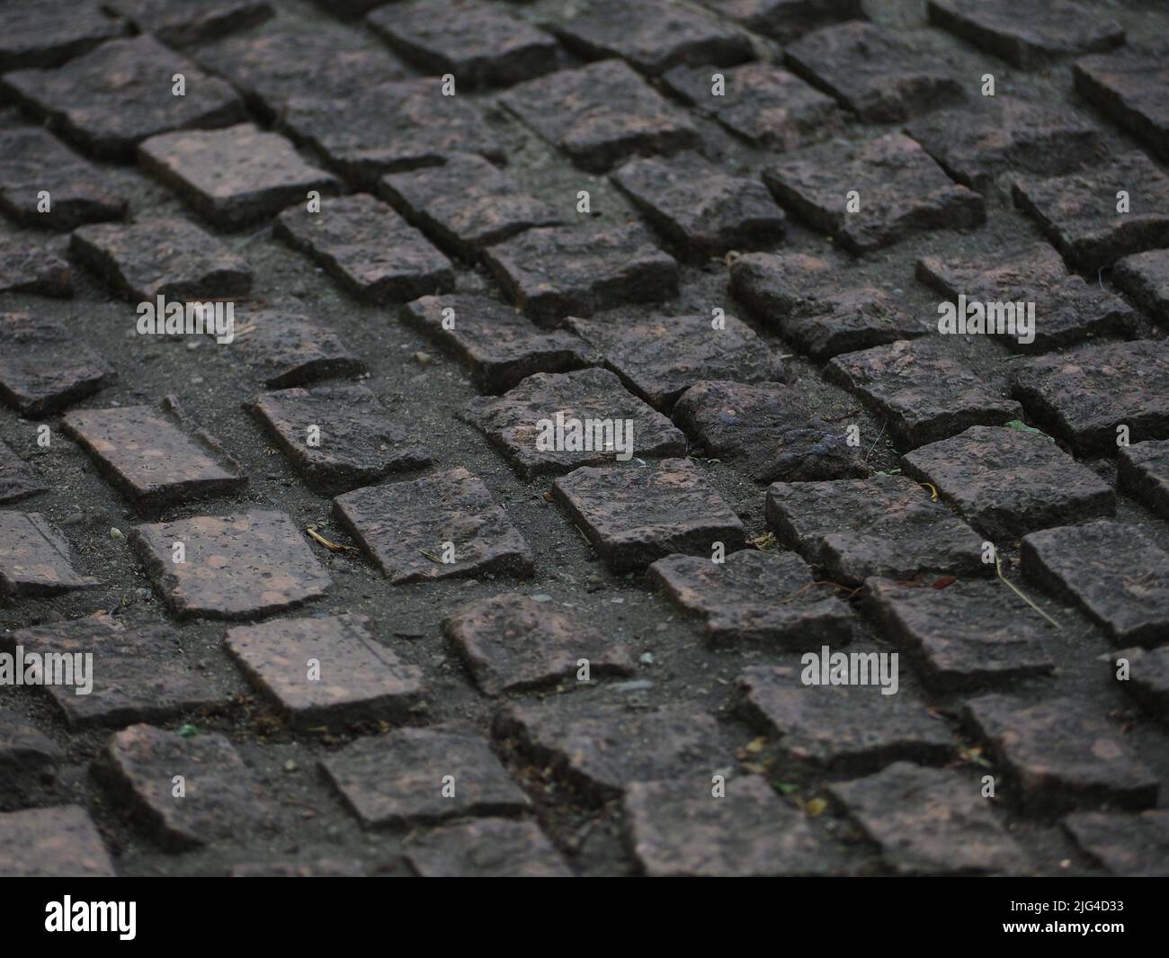 Cobblestone pavers Stock Photo