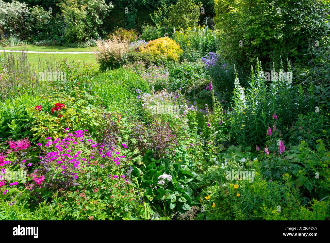 English country garden in early July. Wide border full of shrubs and perennials. Stock Photo