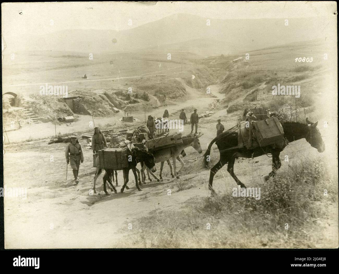 Recording from Macedonia. Food transport by donkey. (232 Stock Photo