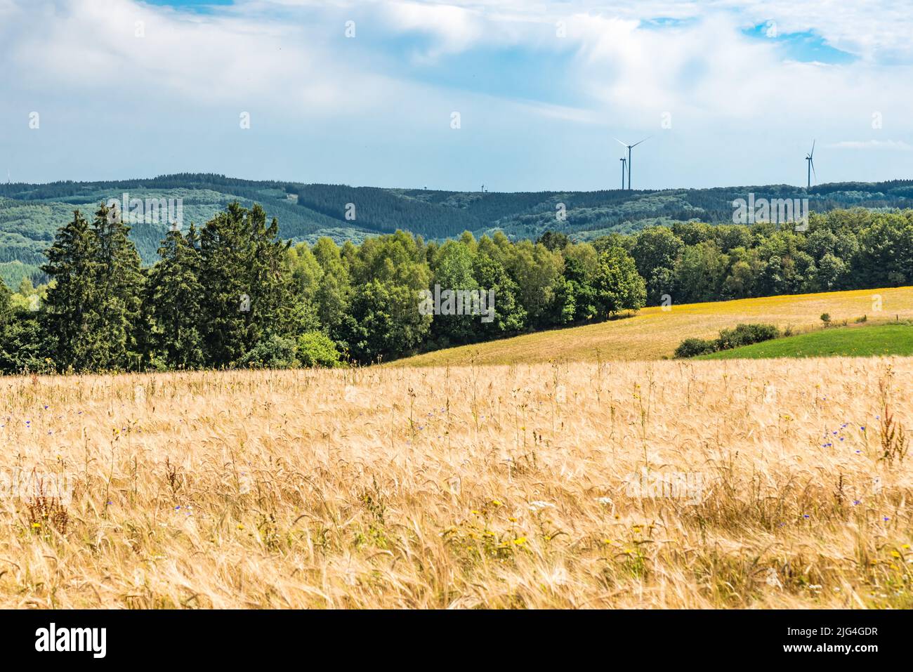 Panoramic view over the agriculture fields and meadows of the East-Belgian countryside near Burg-Reuland, Belgium Stock Photo