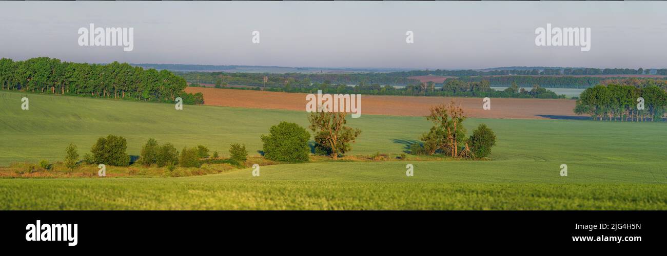 Landscape view to green fields of wheat and rolling hills on Spring Stock Photo