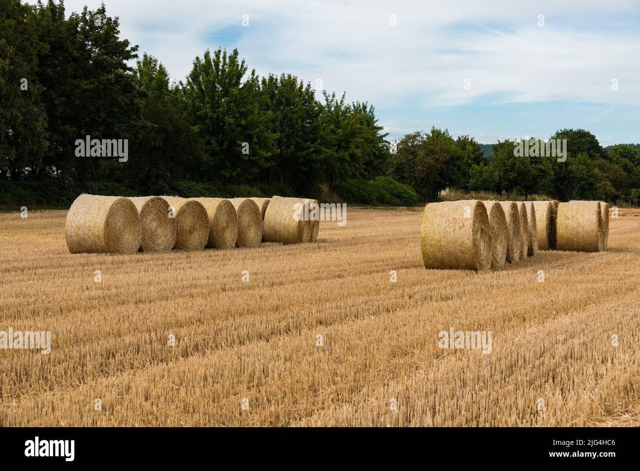 Hay rolls and a mowed agriculture grain field, Kirsch, Germany Stock Photo