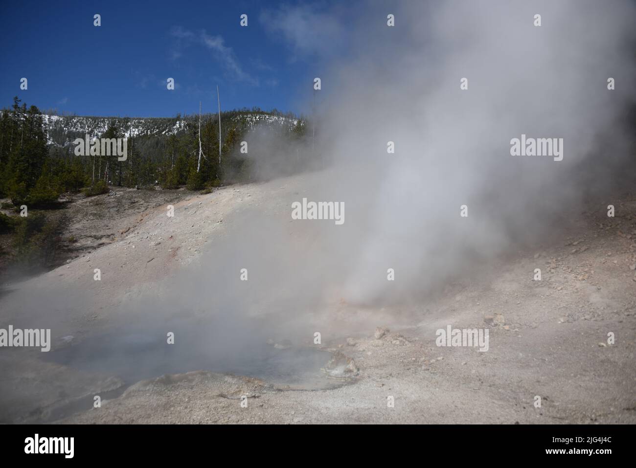 Yellowstone National Park, USA. 5/21-24/2022. Beryl spring is a ...