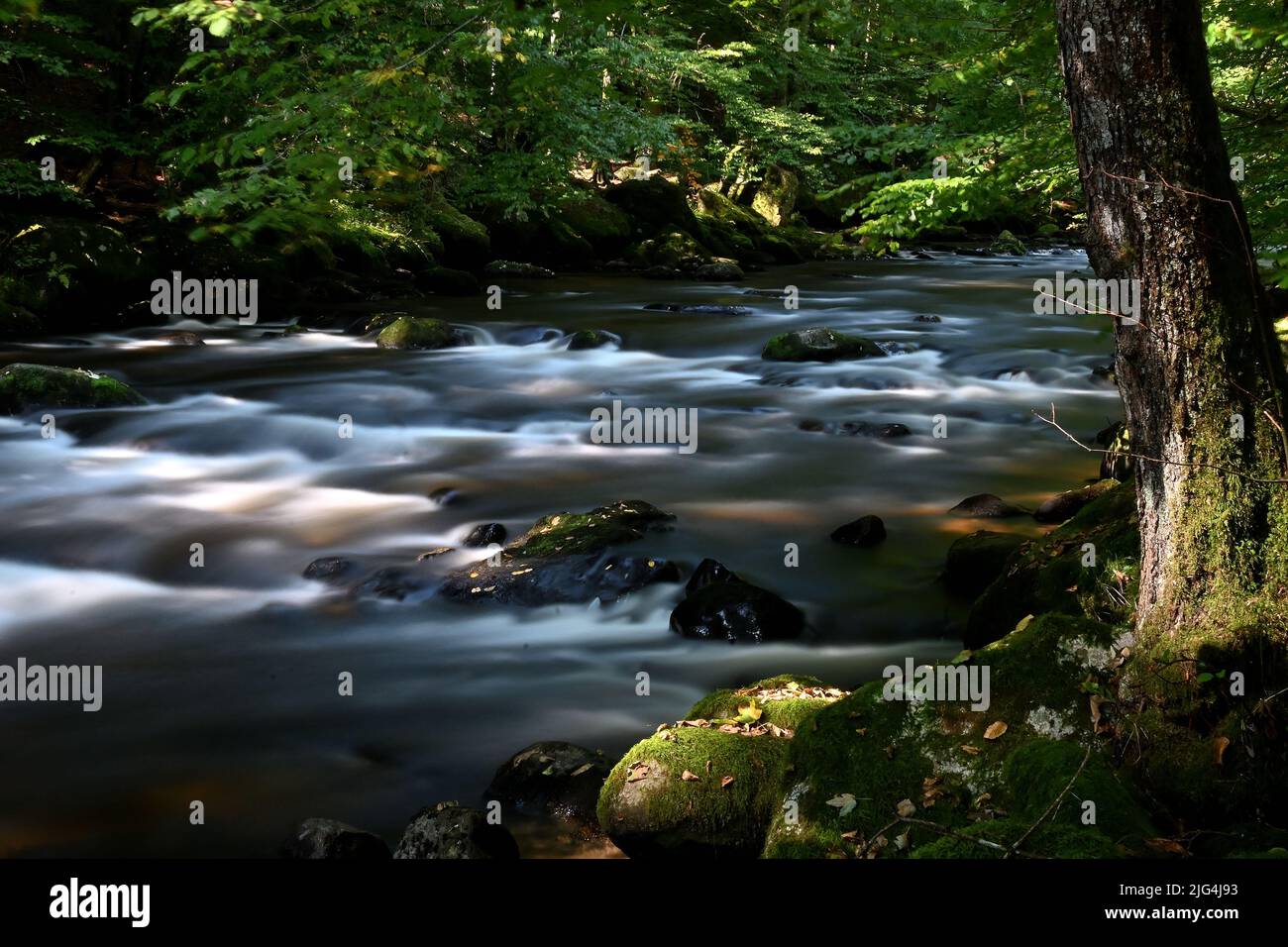 Flusslandschaft hi-res stock photography and images - Alamy