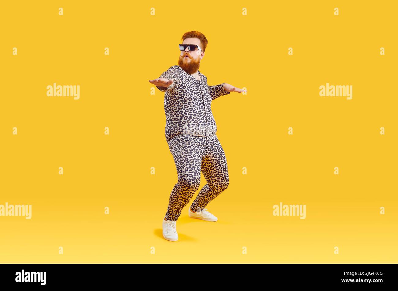 Fat leopard hires stock photography and images Alamy