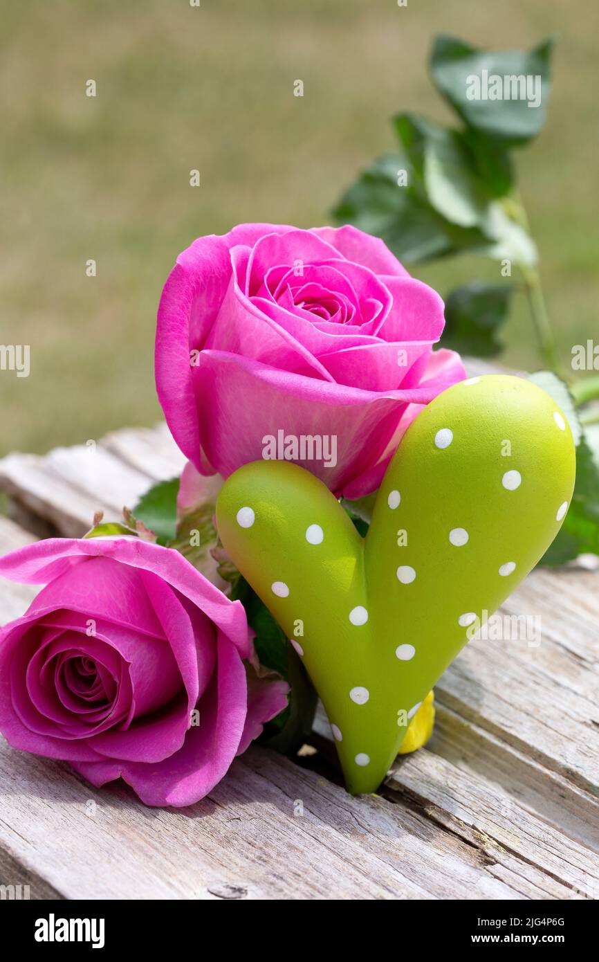 Outdoor holiday decoration with pink roses and green heart Stock Photo