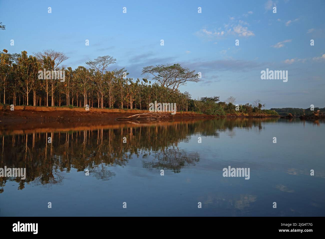 river bank in early morning Carara, Costa Rica,            March Stock Photo