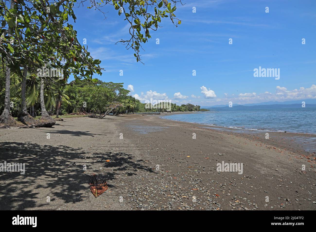 view along beachfront to Pacific Ocean Osa Peninsula, Costa Rica            Marc Stock Photo