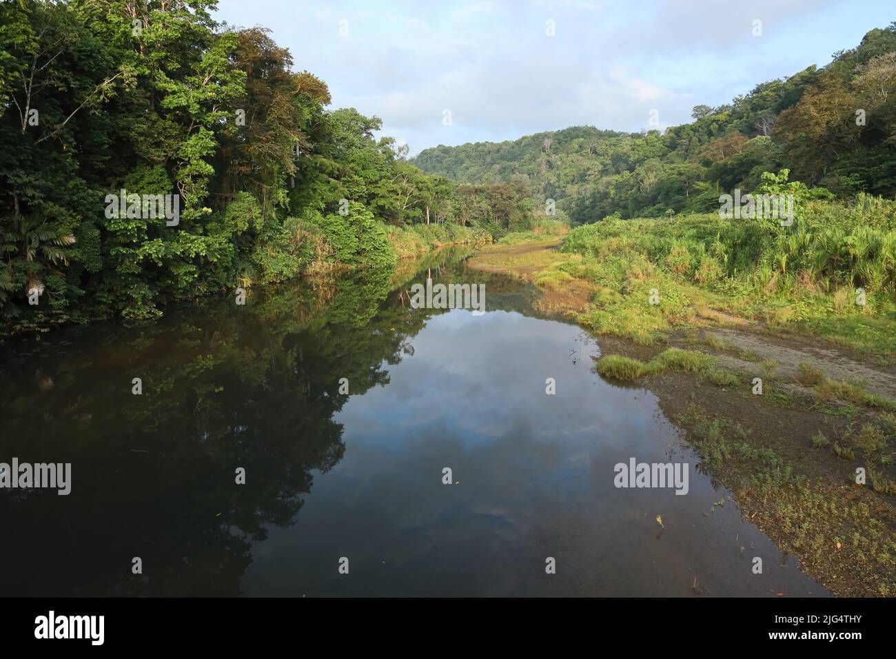 view along water in rainforest Osa Peninsula, Costa Rica,         March Stock Photo