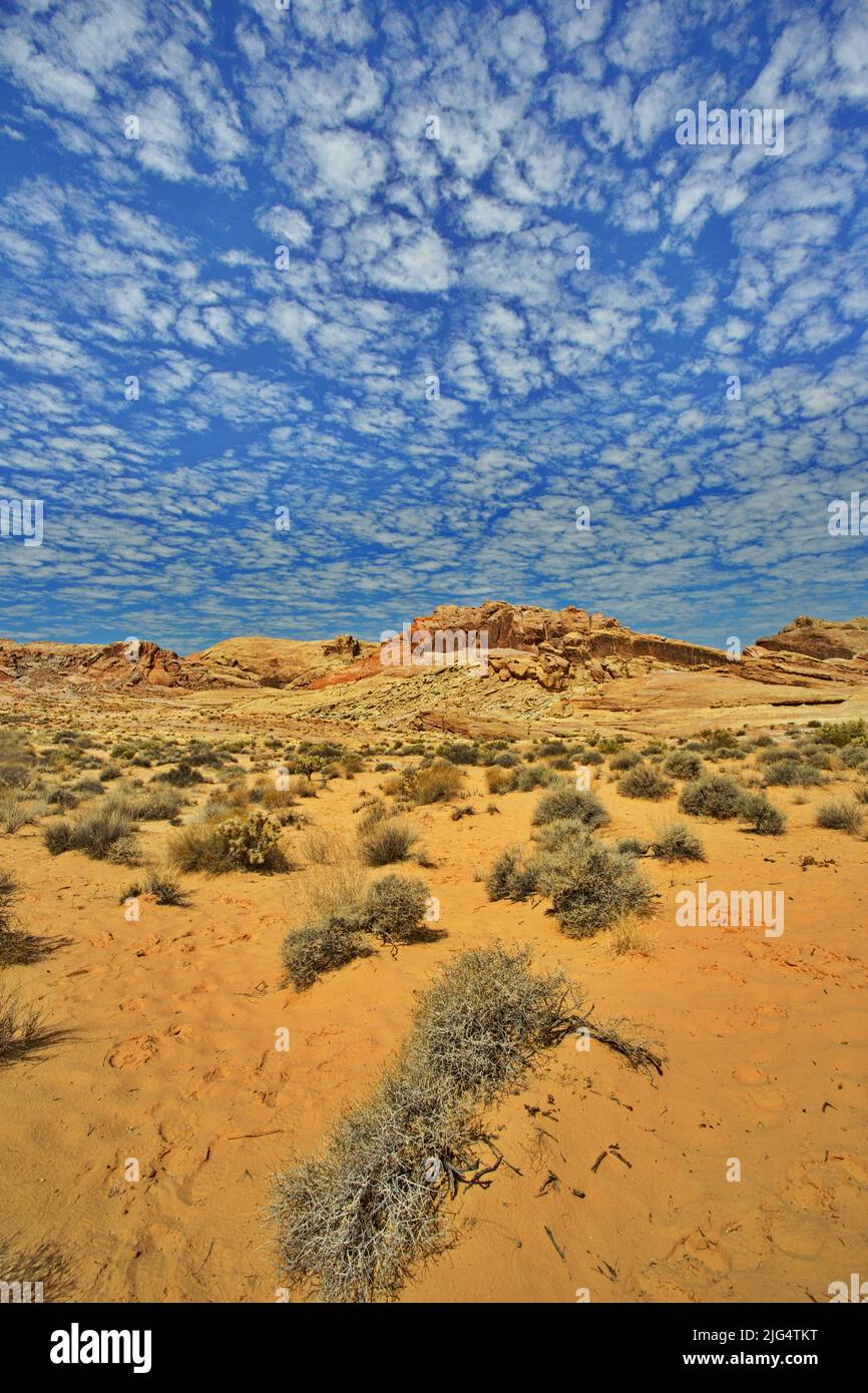 Destination scenic of Mohave Desert in Valley of Fire State Park, Nevada, with clouds, blue sky, and arid red sand Stock Photo