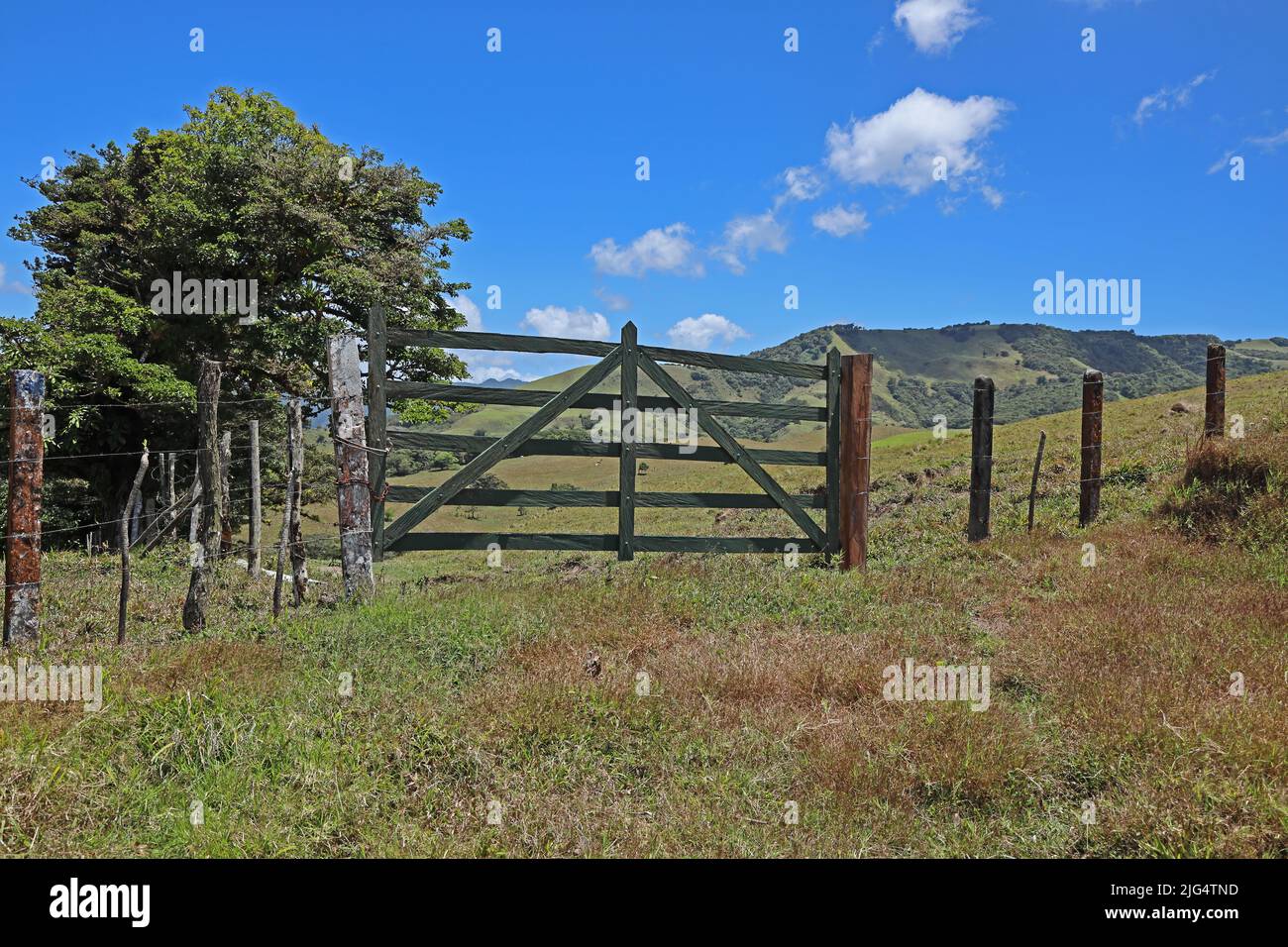 Pasture Gate Hi Res Stock Photography And Images Alamy