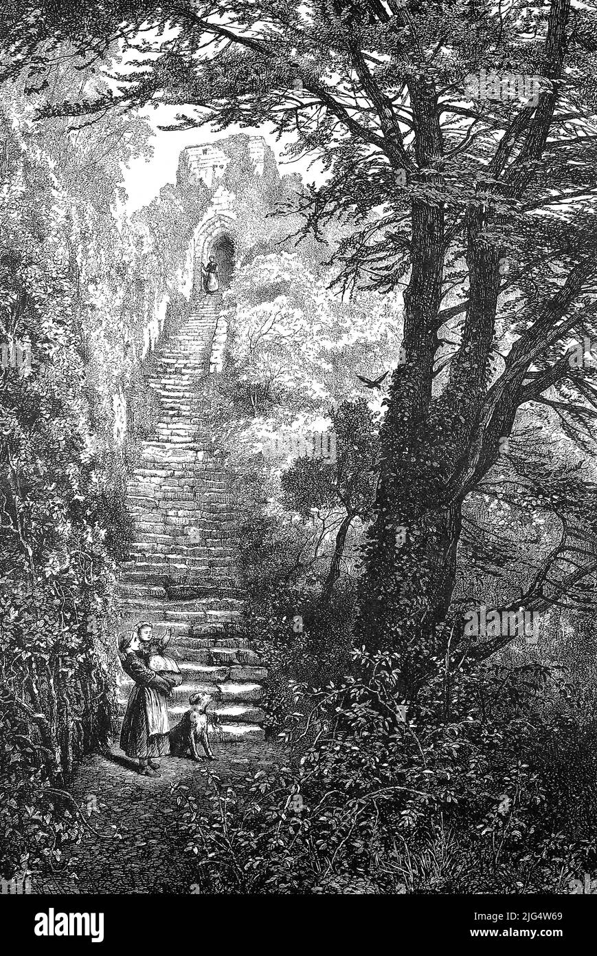 eine Treppe im Schloßpark von Schloß Carisbrooke, Carisbrook Castle, auf der Insel Wight im Jahre 1860, Großbritanien, digital restaurierte Reproduktion einer Originalvorlage aus dem 19. Jahrhundert, genaues Originaldatum nicht bekannt  /  a staircase in the castle park of Carisbrooke Castle, Carisbrook Castle, on the Isle of Wight in 1860, Great Britain, digitally restored reproduction of an original 19th century artwork, exact original date unknown Stock Photo