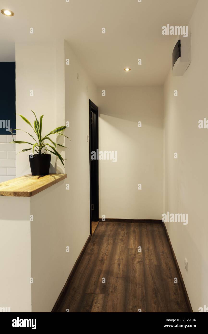 hallway in a small apartment and wooden bar Stock Photo