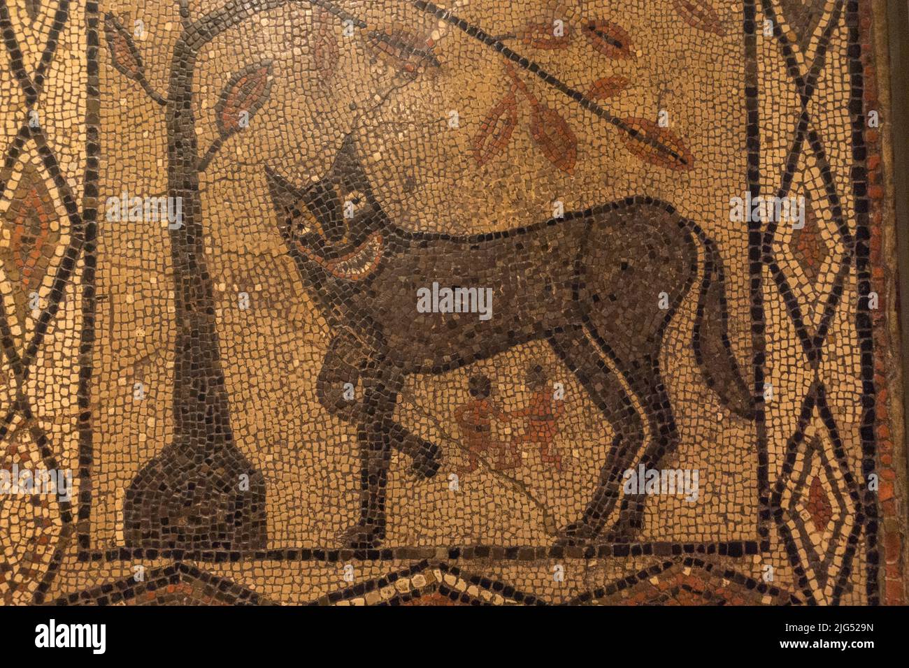 'The Wolf and Twins' mosaic, Roman tiling from Aldborough, (c300-400AD) on display in the UK. Stock Photo
