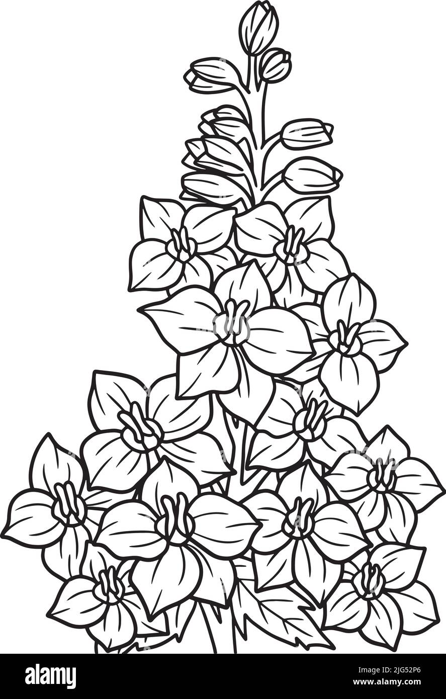 Delphinium Flower Coloring Page for Adults Stock Vector