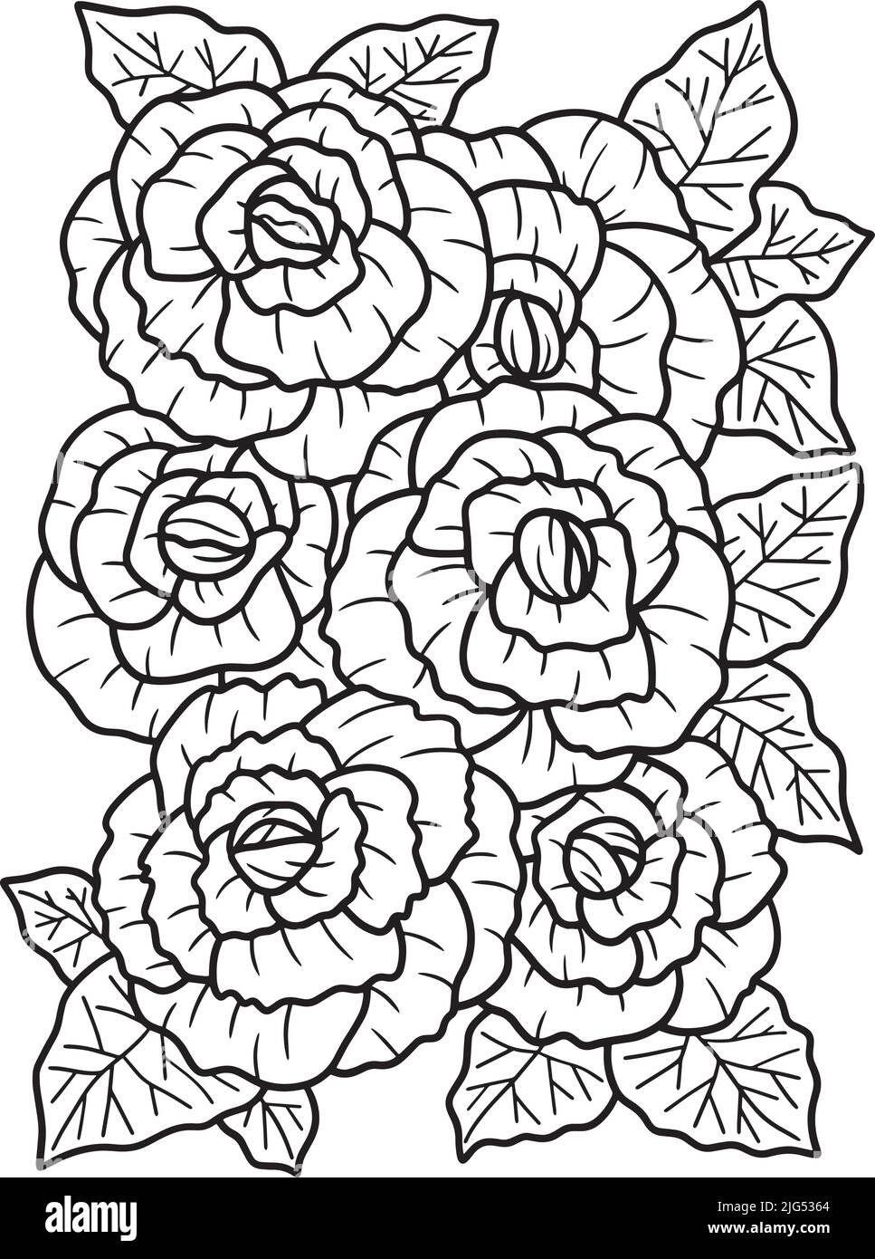 Begonia Flower Coloring Page for Adults Stock Vector