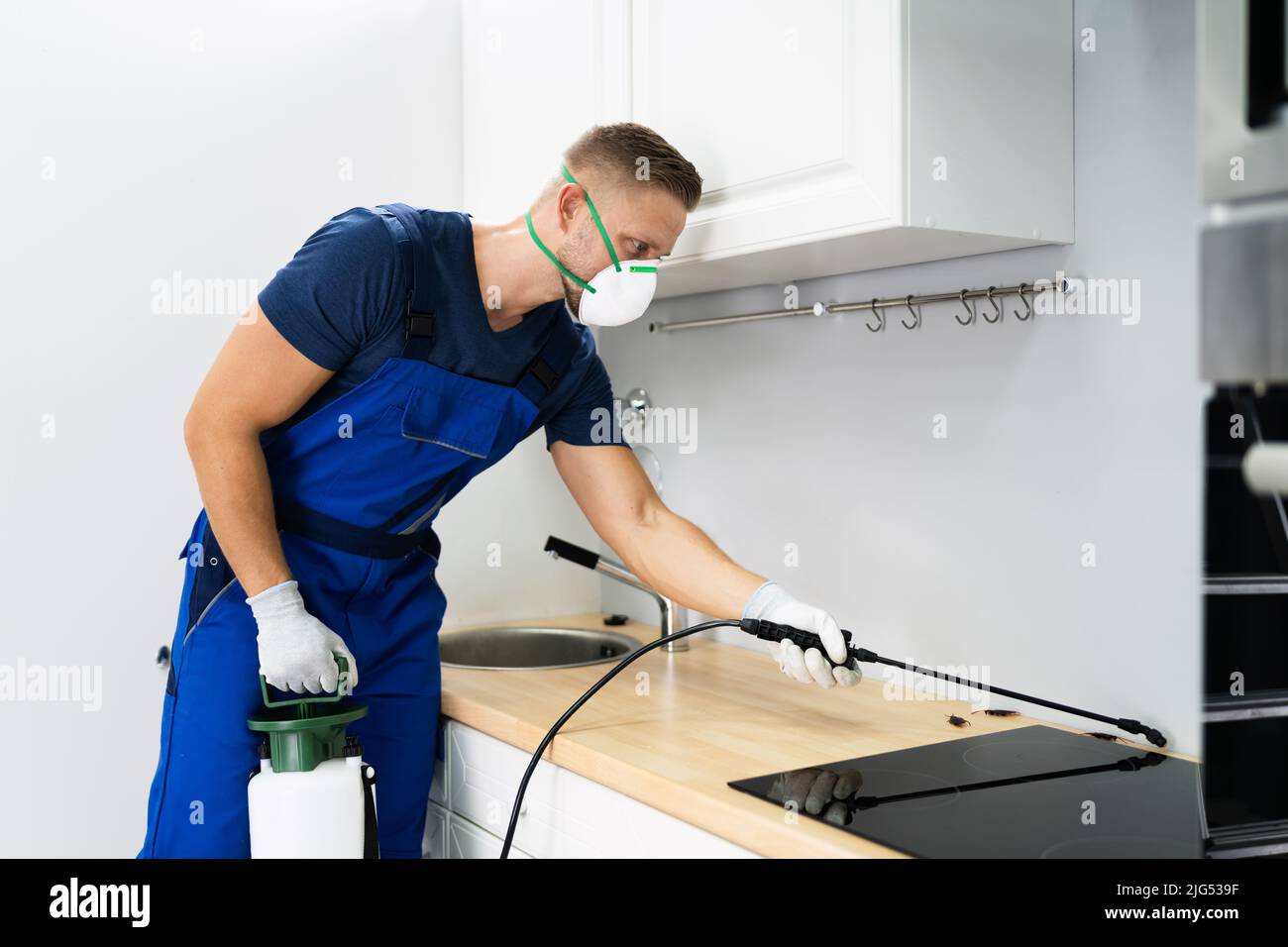 Pest Control Worker Spraying Insecticide In Domestic Kitchen Stock
