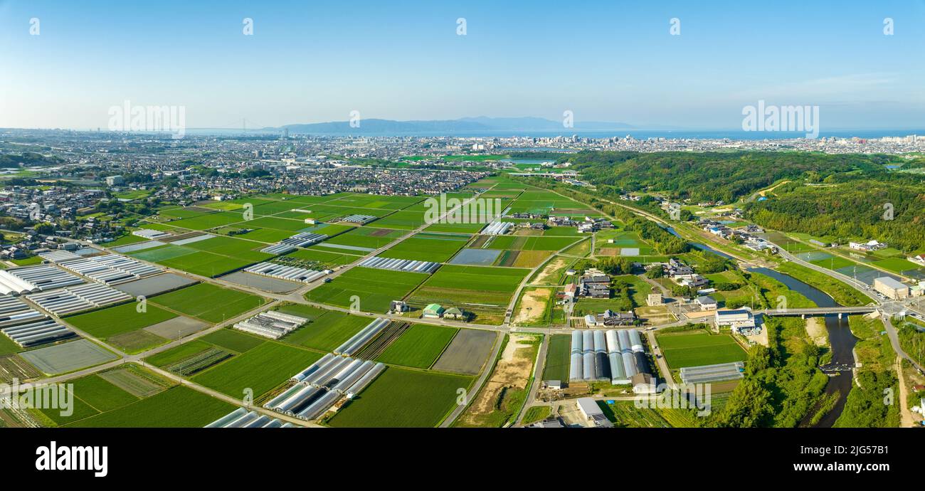 Panoramic aerial view of planted fields and greenhouses on edge of city Stock Photo